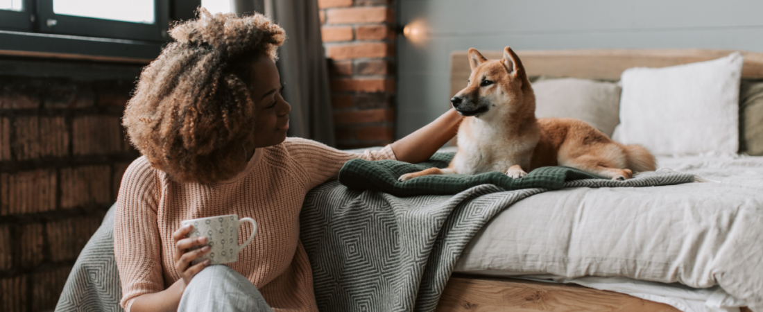 Cama Ortopédica para Cachorro: Seu Pet Realmente Precisa de Uma?