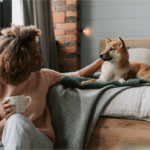 Gato relaxado e saudável - saúde felina e cuidados diários - Pet Sereno