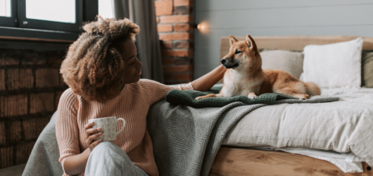 Cama Ortopédica para Cachorro: Seu Pet Realmente Precisa de Uma?