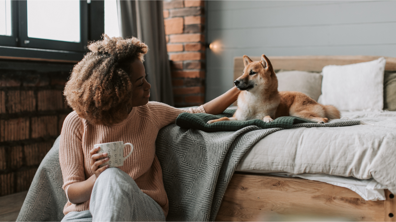 Cama Ortopédica para Cachorro: Seu Pet Realmente Precisa de Uma?