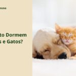 Quanto Dormem Cães e Gatos? O Sono dos Pets Explicado Filhote de cão e gatinho dormindo juntos, ao lado do título Quanto Dormem Cães e Gatos