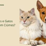 Gato e cão sentados lado a lado, ao lado do título Cães e Gatos Sentem Ciúmes