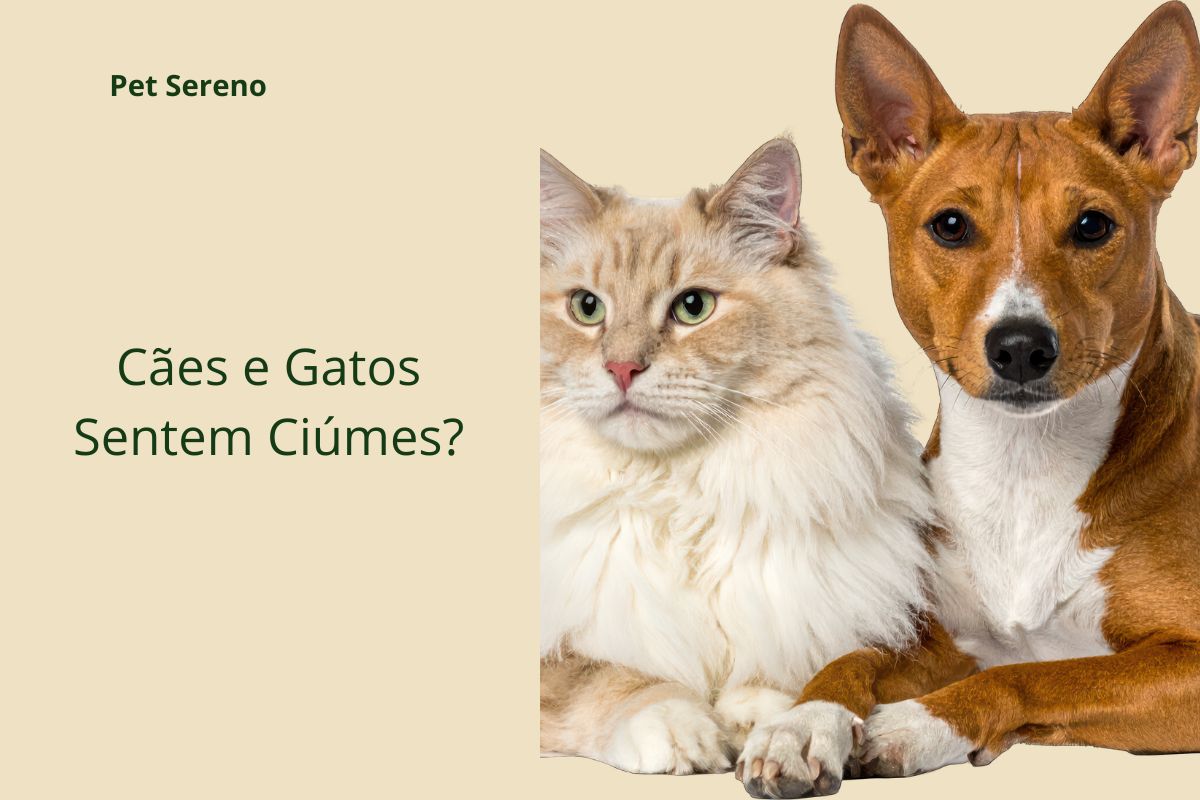 Cães e Gatos Sentem Ciúmes? O Que a Etologia Revela
