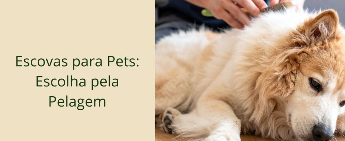 Escovas para Pets: Como Escolher pela Pelagem Certa
