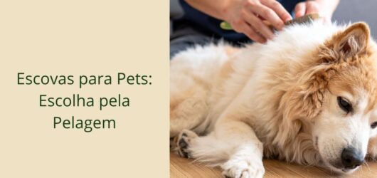Escovas para Pets: Como Escolher pela Pelagem Certa