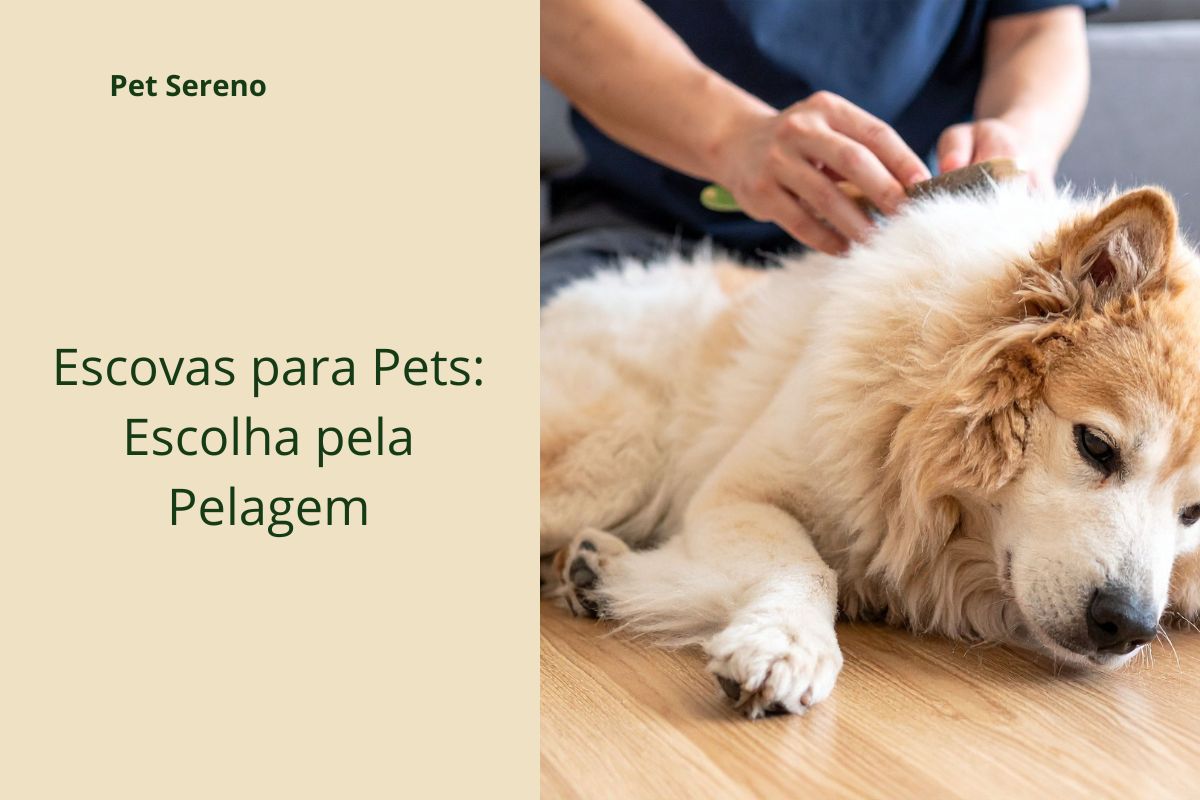 Escovas para Pets: Como Escolher pela Pelagem Certa